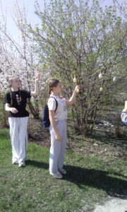 Добровольцы нашей школы приняли участие в традиционной акции по благо украшению храма Федоровской иконы Божией Матери к празднику Светлой Пасхи.